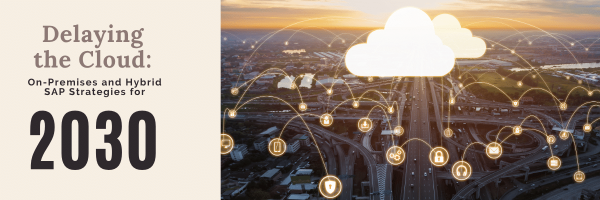 SAP Strategies for 2030